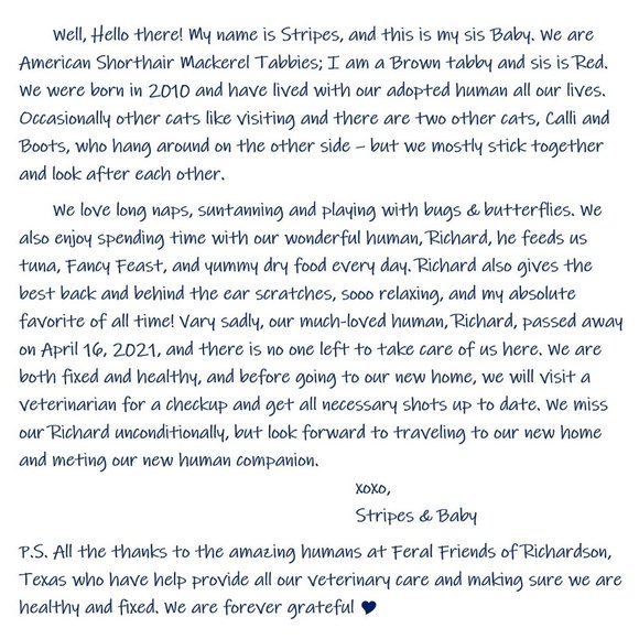 Stripes & Baby - Picture 4 of 8